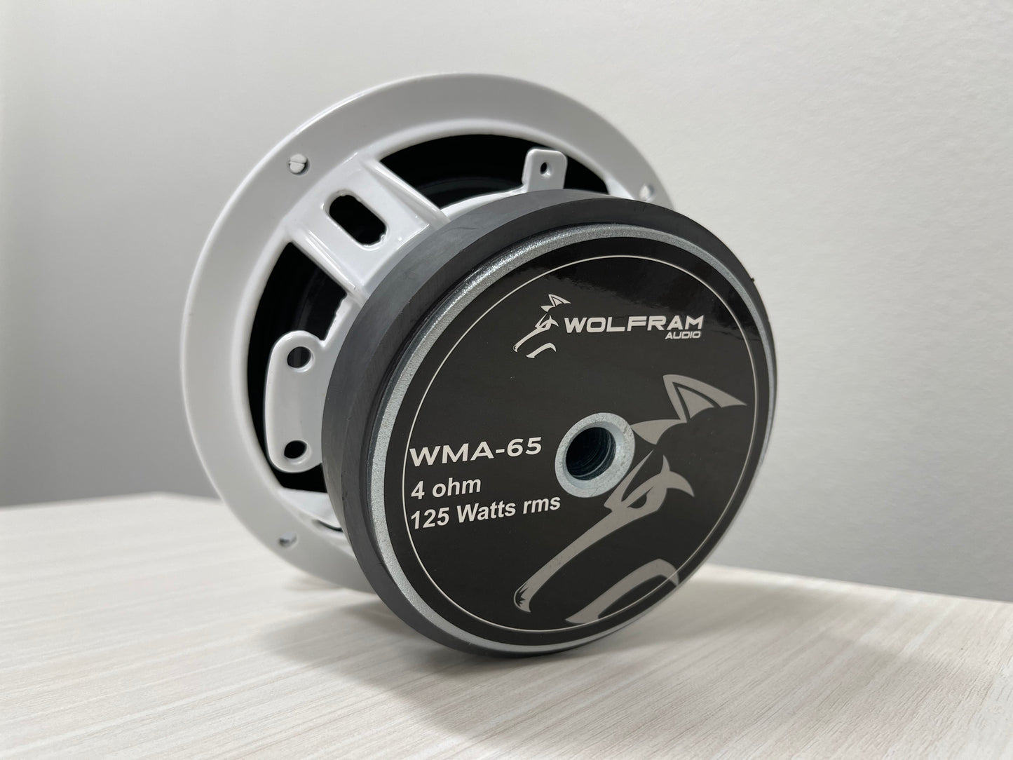 WMA-65 Marine Speaker