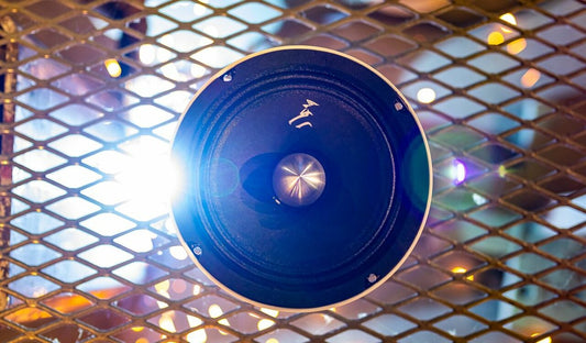 WPA-8 Midrange Speaker