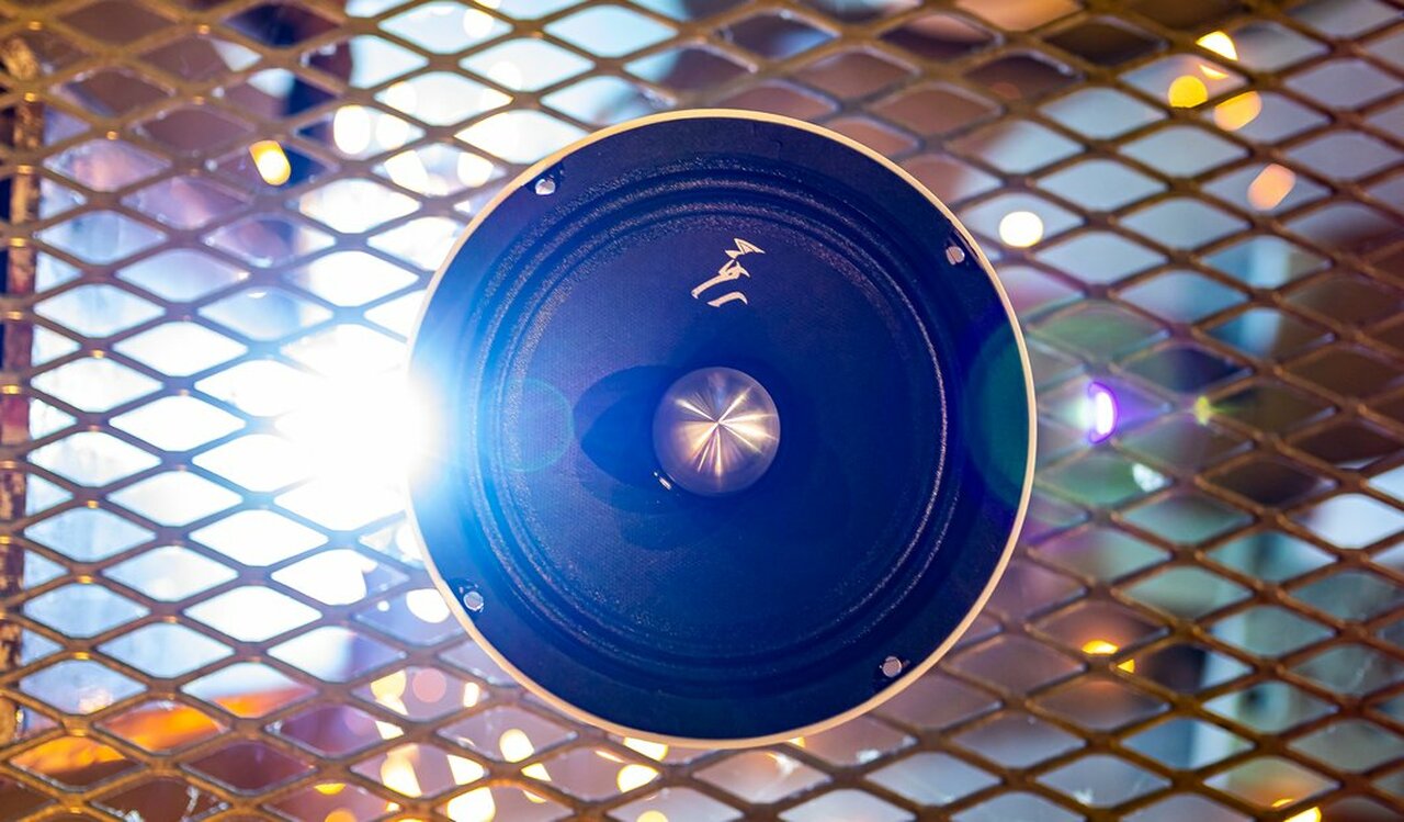 WPA-8 Midrange Speaker